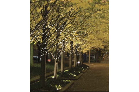 Goldair LED Solar Tree Lights - 80 White